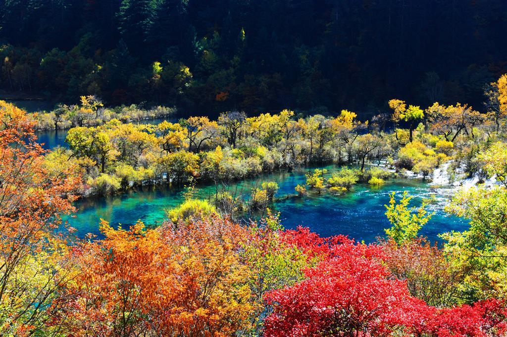 Sheraton Jiuzhaigou Resort Einrichtungen foto